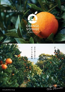 屋久島たんかんジャム４個セット