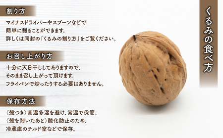 殻つきくるみ約1.4kg（2026年収穫分）｜JA信州うえだ東部地区営農課