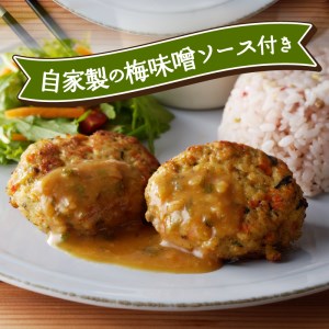 豆腐と地鶏のハンバーグと梅味噌ソース6個入り（11）〈レトルト〉