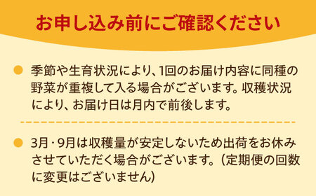 【16品 / 24回定期便】農薬に頼らない！カラダにやさしい「よしのがり野菜」セット（ラージ）[FAA011]