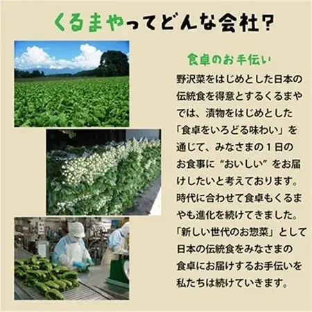 くるまやおすすめ野沢菜5点セット【 漬物 野沢菜漬け 惣菜 お土産 信州 長野 】_惣菜・加工品   _【1112564】