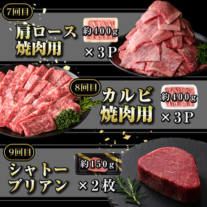 【G01001】＜定期便・全12回＞鹿児島県産黒毛和牛おまかせ定期便 鹿児島 牛肉 黒毛和牛 シャトーブリアン サーロインステーキ リブロース カルビ 焼肉 すき焼き 定期便【新村畜産】