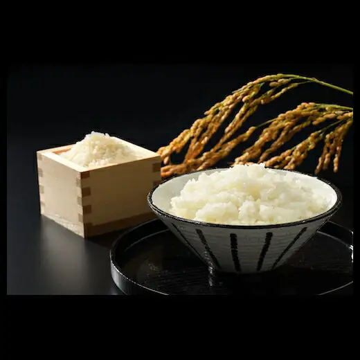 無洗米 令和7年産 天のつぶ 10キロ(5kg×2袋)｜無洗米 南相馬 お取り寄せ