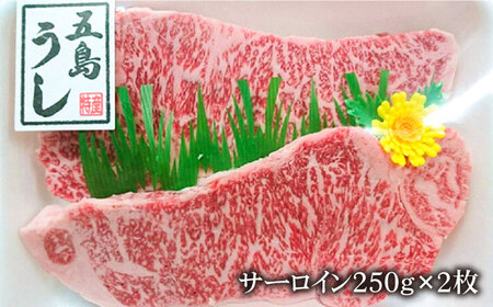 五島牛 サーロインステーキ500g（250g×2枚） 五島市/ニク勝[PBF001]  サーロイン ステーキ 肉  ジューシー 牛肉 五島牛 国産 