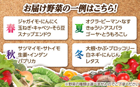 【全10回定期便】旬の野菜セット（7-10品目10kg未満）  野菜 やさい 詰め合わせ セット