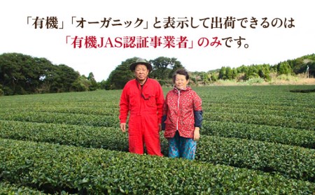 【安心・安全！】 お手軽便利！ お茶 ティーバッグ 3点セット【グリーンティ五島】[PAV011]