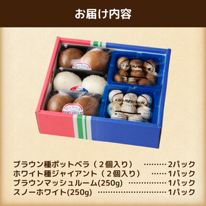 長谷川農産の美味しいマッシュルームセット 無農薬・無漂白栽培 ホワイト種(大×2個、小×1パック) ブラウン種(大×4個、小×1パック) 富士山麓 マッシュルームファーム 産地直送 高品質 きのこ キノコ ギフト 長谷川農産 静岡県 富士市 野菜 [sf002-005]