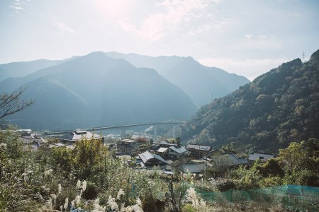 鹿モモ肉 約700g [日添 熊本県 五木村 51120300]
