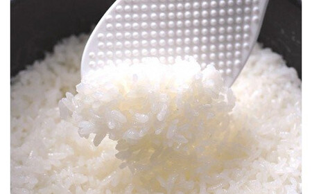 【令和7年産米】四万十育ちの美味しい「仁井田米」（香り米入り）6kg（3kg×2セット） 特別栽培米 受賞 おいしい おすすめ 人気 3キロ ／Bmu-C62