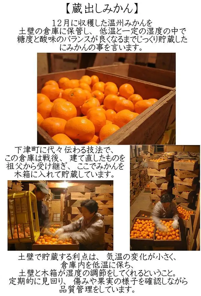 蔵出しみかん 5キロ 1月・2月 に食べやすい 冬眠みかん 和歌山県海南市しもつ町鈴木農園から直送