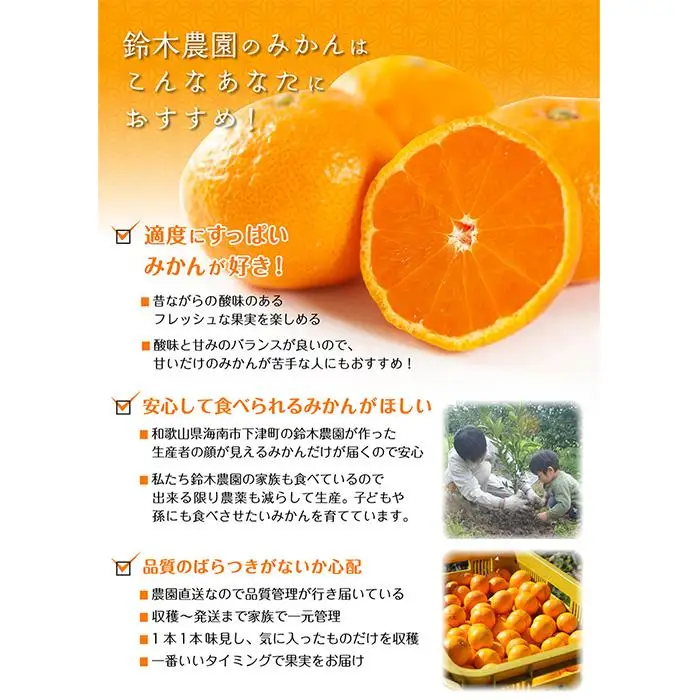 訳ありみかん 5kg 混合サイズ みかん 和歌山県海南市鈴木農園から直送