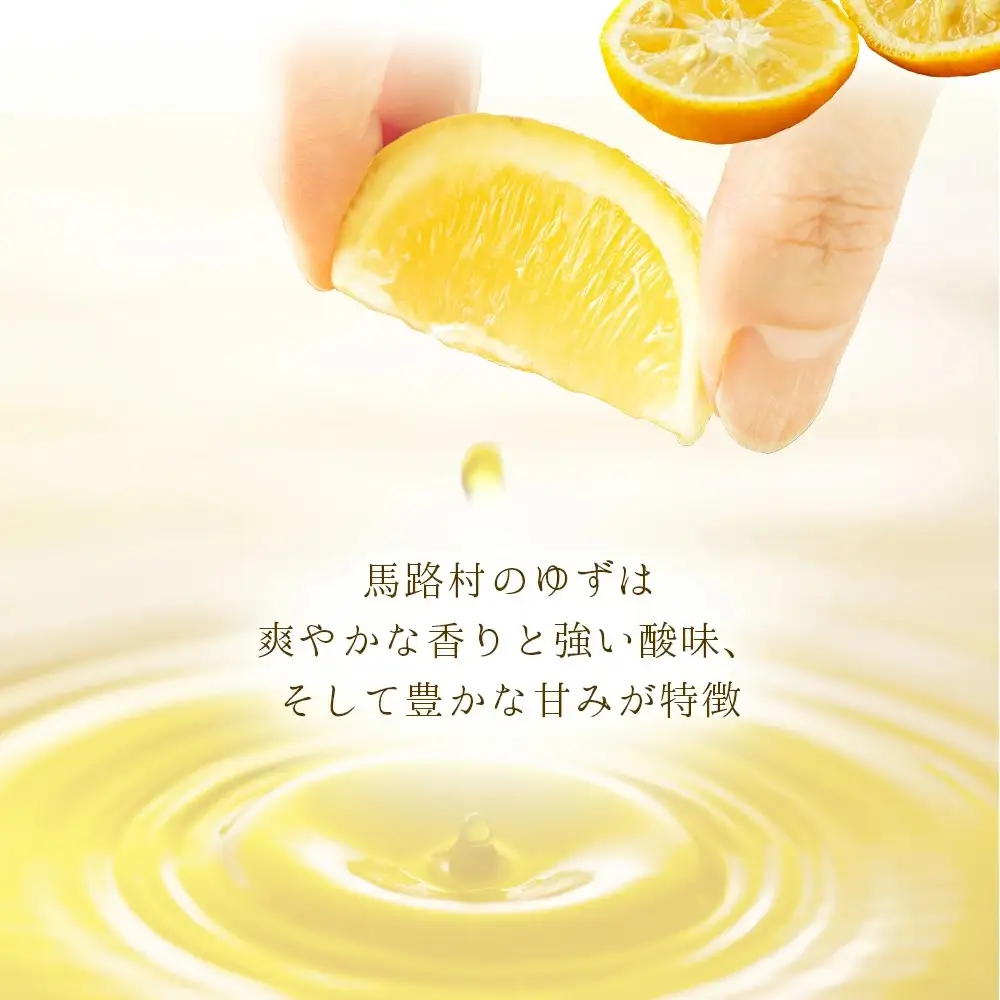 土佐鶴ゆずリキュール　YUZU　500ml×2本 ｜ リキュール