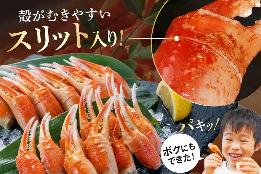本ずわいがに 爪 約700g カニ 蟹 かに [宮城県 気仙沼市 20564321]
