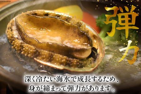 アワビ 鮑 天然 蝦夷あわび パック 約1kg [たみこの海パック 宮城県 南三陸町 m304amh560080]
