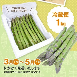 SB0880　グリーンアスパラガス 砂丘育ちの「甘えんぼう DX(デラックス)」 4Lサイズ　1kg