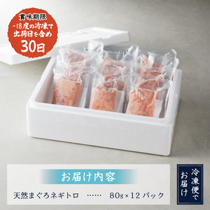 a10-598202606　【2026年6月お届け】天然 まぐろ ネギトロ (80g×12パック)