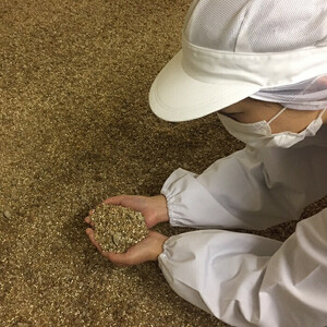島根で採れる産品を使用しただししょうゆセット
