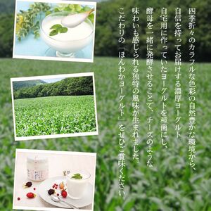 志賀高原で育った ほんわかヨーグルト900ml 3本セット 乳製品 乳酸菌 