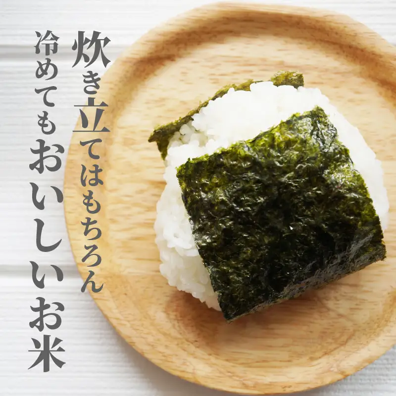 大分ヒノヒカリ 3kg B01010