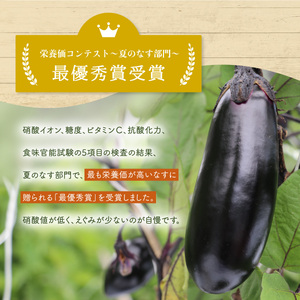 夏野菜 詰め合わせ お試し セット なす おくら 野菜 茄子 ナス オクラ 産地直送 天敵栽培 【2026年7月以降順次発送】