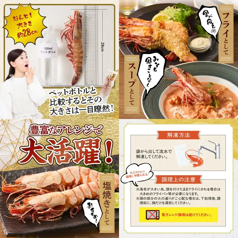 特大 天然海老(有頭･2尾)【A9-023】