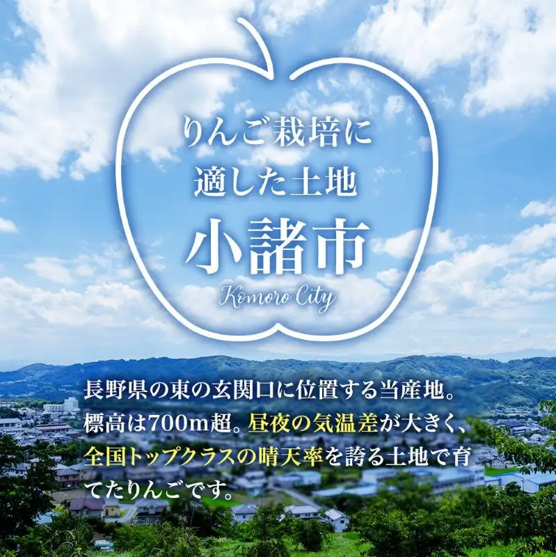 【先行予約】令和8年度産 訳あり りんご シナノスイート 約10kg 24～40玉入 家庭用 フルーツ 果物 甘い 訳あり おいしい 林檎