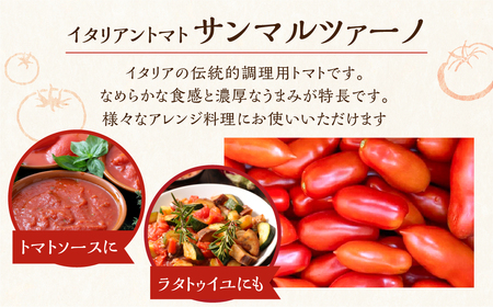 《令和7年産先行予約》有機大玉トマト 調理用イタリアントマト 有機JAS認定 合計2.5kg[Q633] syun9