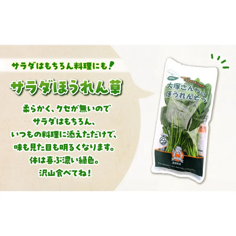 ホワイトミニセルリー 14袋 ＆ サラダほうれん草 10袋 計24袋セット 野菜 詰め合わせ セロリ ミニセロリ ほうれんそう 新鮮 産地直送 野菜セット 食べ比べ 詰合せ 大容量 業務用 まとめ買い