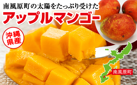 【訳あり】2026年発送　金城農園のマンゴー1.5kg