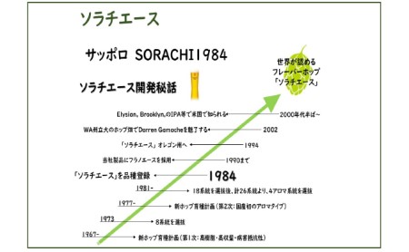 SORACHI 1984 ≪ソラチ1984≫1箱（350ml×12缶） 吉澤商店 北海道 上富良野町 ソラチ1984 お酒 酒 飲み物 ビール 地ビール サッポロビール サッポロ ギフト 