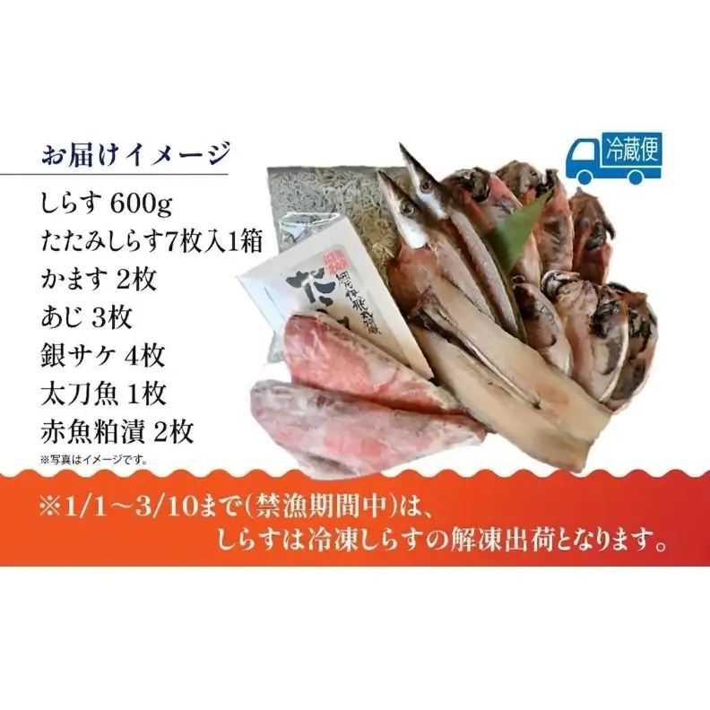茅ヶ崎 しらす 干物 贅沢 セット しらす 600g たたみしらす 7枚入 1箱 かます 2枚 あじ 3枚 銀サケ 4枚 太刀魚 1枚 赤魚 粕漬 2枚 網元 新鮮 船 海 海鮮 漁 冷凍 北村水産 焼く ご飯 酒 つまみ 神奈川県 茅ケ崎市