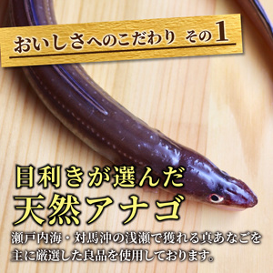 焼あなご(3～5串)《 魚介類 アナゴ 穴子 あなご 焼きあなご 海鮮 天然 ふるさと納税 あなご 加古川市 パリパリ 美味しい 穴子丼 串焼き お取り寄せ 人気 ギフト プレゼント おすすめ》【2403D00702】
