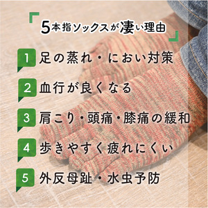 竹紀行5本指タウンソックス(グリーンMIX4足)【2401T02309_05】