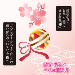 雛人形 名前旗(小) 刺繍入り台付《 お祝い 刺しゅう入り 名前札 贈り物 名前旗 縁起がいい 正月 ひな祭り 七五三 》 【2406S03902】