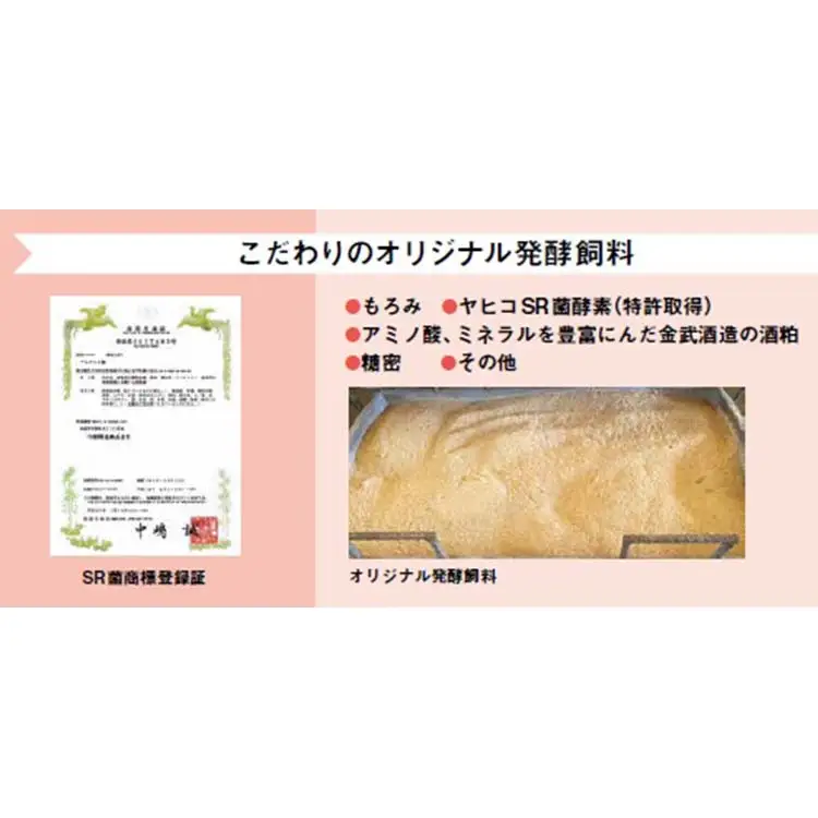 沖縄県産　金アグー　「ソーセージ」960g（48本入り）