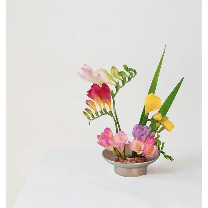 針のない剣山 / Flower garden