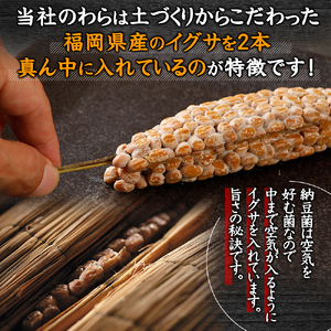 【ふるなび限定】北海道のわら納豆（大粒）80g×12本 たれ付き【くま納豆】FN-Limited-PR