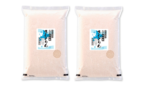 北海道赤平産 きたくりん 10kg (5kg×2袋) 特別栽培米 米 北海道 お米 