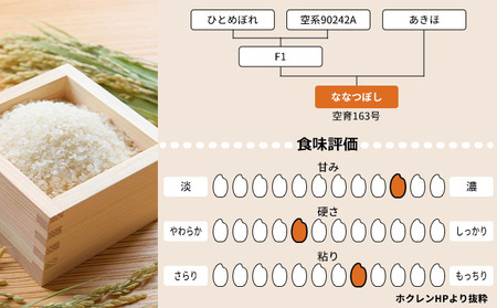 北海道赤平産 ななつぼし 10kg (5kg×2袋) 【3回お届け】 精米 米 北海道 定期便 お米 