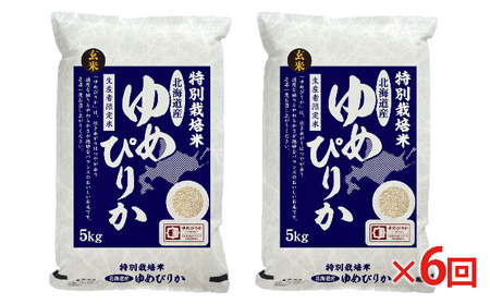 玄米 北海道赤平産 ゆめぴりか 10kg (5kg×2袋) 特別栽培米 【6回お届け】 米 北海道 定期便 ふるさと納税 お米 