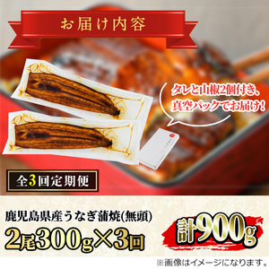 ＜定期便・全3回＞東串良町 うなぎ 蒲焼 (無頭)(2尾・計約300g・タレ、山椒付×3回) 高級 ウナギ 鰻 国産 たれ 鹿児島 ふるさと 人気【アクアおおすみ】【0304303b】