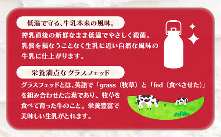 バニラアイスクリームセット nr-0194