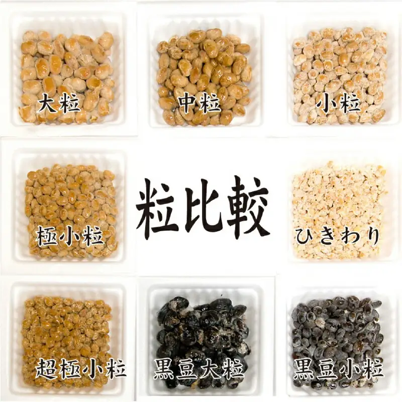 北海道のガッツリ納豆極小粒 100g×3個×10袋(合計30カップ) たれなし 特大カップ 大容量 北海道産 国産 くま納豆【6ヶ月連続お届け】