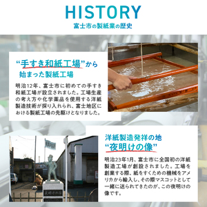 トイレットペーパー MOTTAINAI 100個入 ダブル 無地 国産 生活雑貨 日用品 防災 備蓄 静岡県 富士市 [sf001-077]