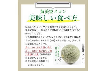 メロン／果物【先行予約／数量限定100】希少品種 黄美香（きみか）メロン 1玉（2026年7月下旬～発送）限定メロン ※メロン　フルーツ・メロン1玉・果物