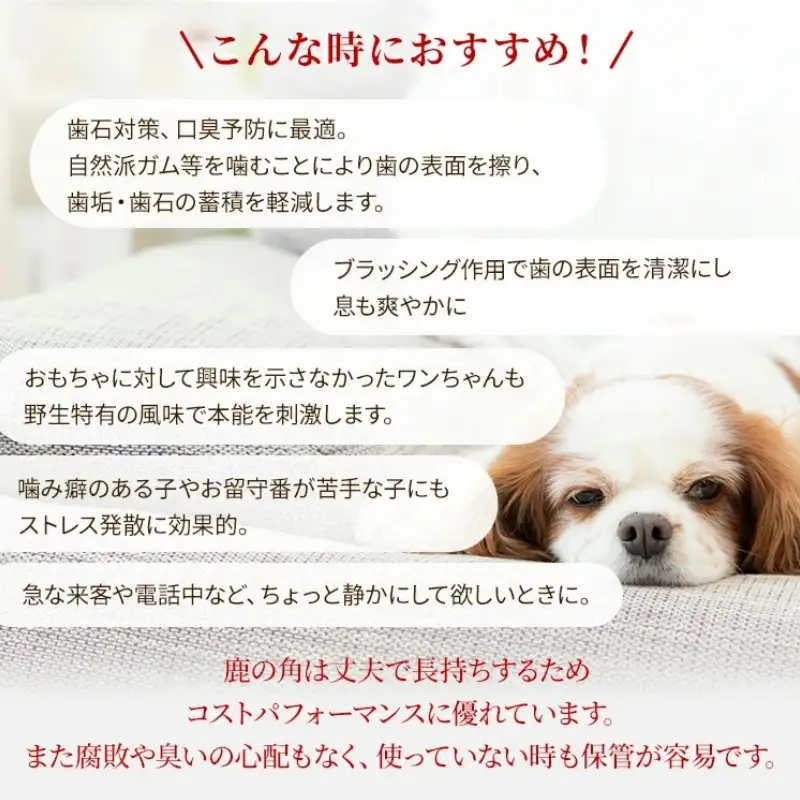 鹿の角 犬のおもちゃ ペット用 Mサイズ ( ペット おもちゃ 鹿 角 )【079-0014】