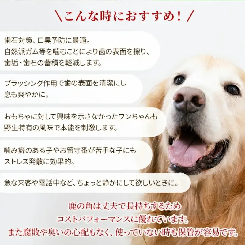 鹿の角 犬のおもちゃ ペット用 Lサイズ ( ペット おもちゃ 鹿 角 )【079-0015】