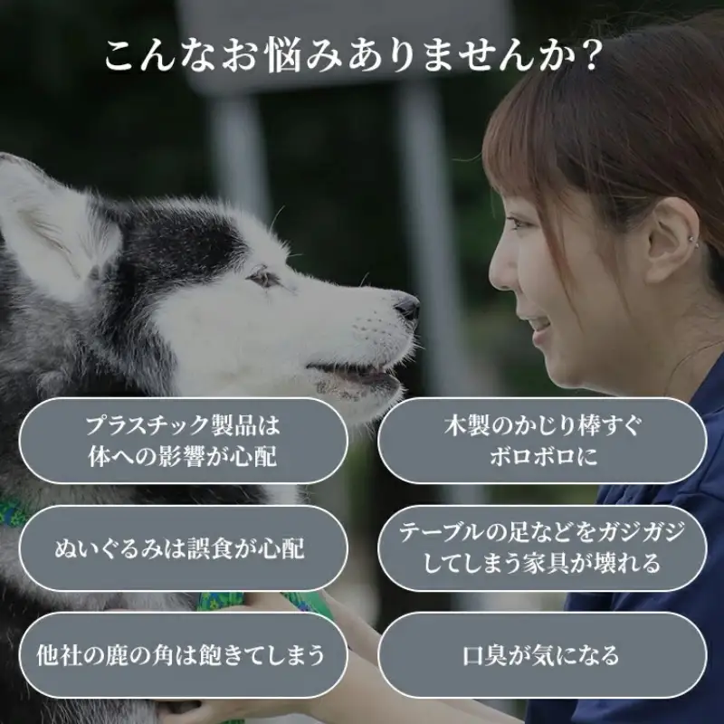 鹿の角 犬のおもちゃ ペット用 LLサイズ ( ペット おもちゃ 鹿 角 )【079-0016】
