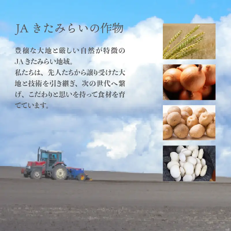 JAきたみらい「玉ねぎ醤油と麦まるごとうどんのセット」 ( 醤油 うどん 玉ねぎ 麺 )【005-0041】