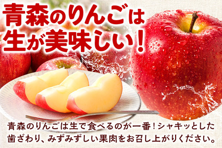 【26年5月クール便発送】りんご  贈答用 葉取らず ふじ 約5kg（有袋栽培・CA貯蔵）EMりんご